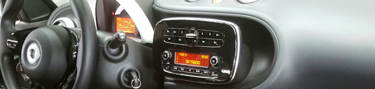 smart forfour dashboard private lease